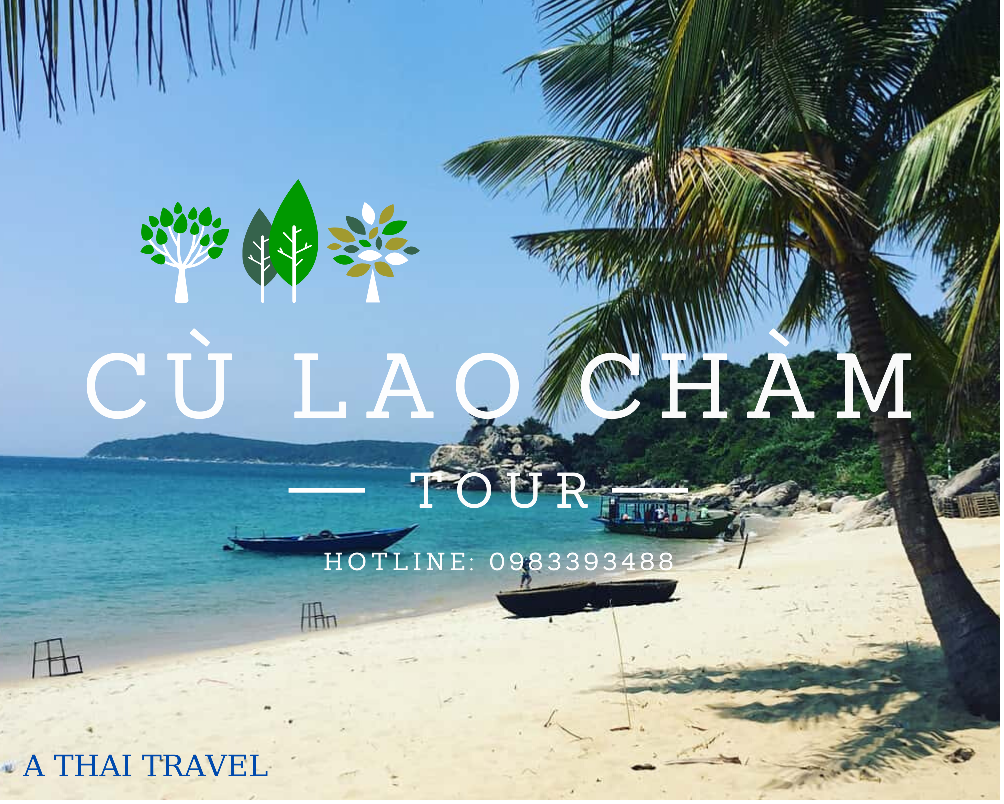 Tour Câu Cá Cù Lao Chàm 1 Ngày 1 cu lao cham 1 ngay 1