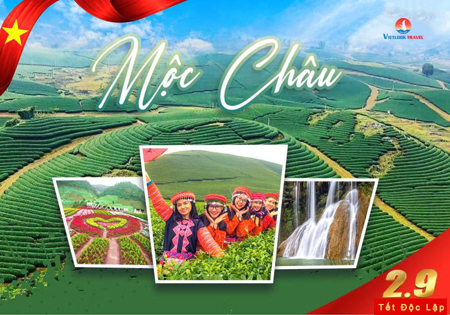 Du Lịch Hà Nội - Mộc Châu 2 Ngày 1 Đêm Quốc Khánh 2/9 1 dulichhalong2ngay 1dem2 9
