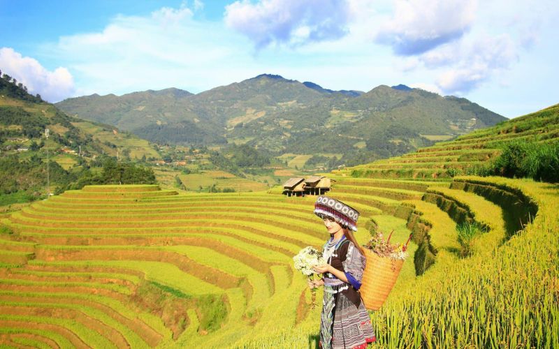 Du Lịch Mù Cang Chải 2 Ngày 1 Đêm Mùa Lúa Chín 2 dulichmuacnangchai2ngay1dem mualuachin