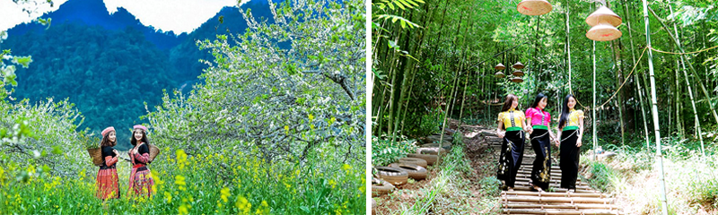 Tour Du Lịch Sơn La - Điện Biên - Mộc Châu 3 Ngày 2 Đêm 1 dulichsonladienbienmocchau3ngay2dem