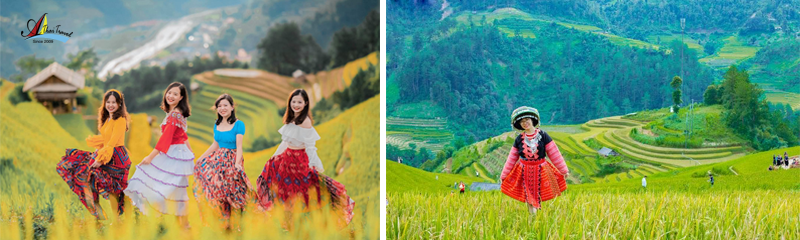 Tour Du Lịch Mù Cang Chải - Khau Phạ - Tú Lệ - Trạm Tấu 3N2Đ Mùa Lúa Chín 1 tourdulichmucangchaideokhaupha tramtau