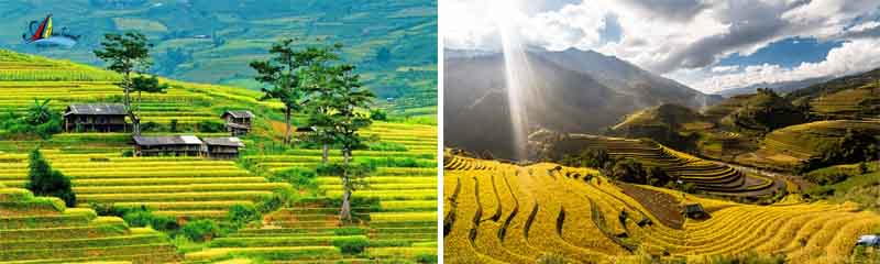 Tour Mù Cang Chải - Đèo Khau Phạ - Tú Lệ 2 Ngày 1 Đêm Từ Hà Nội 1 tourmucangcaideokhauphatule2n1d
