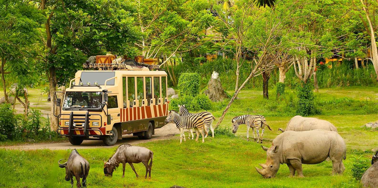 Vinpearl Safari Phú Quốc 14 vinpearl safari phu quoc1