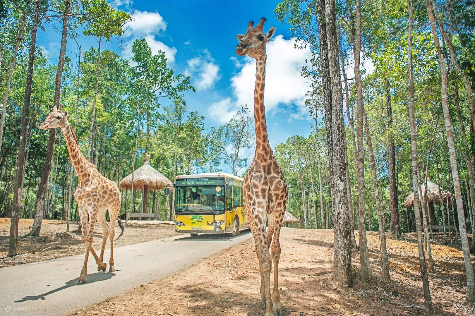 Vinpearl Safari Phú Quốc 11 vinpearlsafariphuquocticket klooksingapore