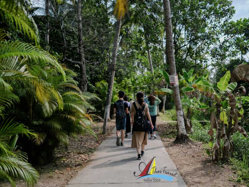 The Vietnam tour package 5 days 4 nights is usually very popular with many foreign tourists The Vietnam tour package 5 days 4 nights is usually very popular with many foreign tourists
