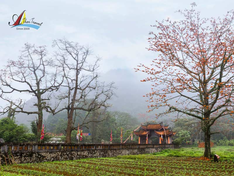 Vietnam village tour has become trendy in recent years Vietnam village tour has become trendy in recent years