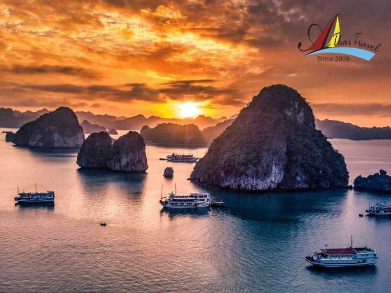 Ha Long Travel Experience from A to Z 15 Experience a Ha Long bay with daily shared tour from A to Z