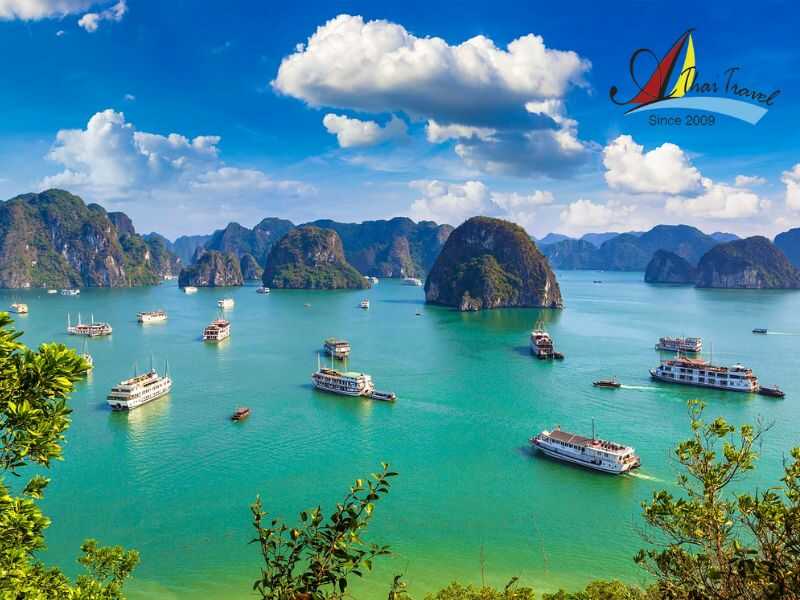 Ha Long Travel Experience from A to Z 17 Experience a Ha Long bay with daily shared tour from A to Z