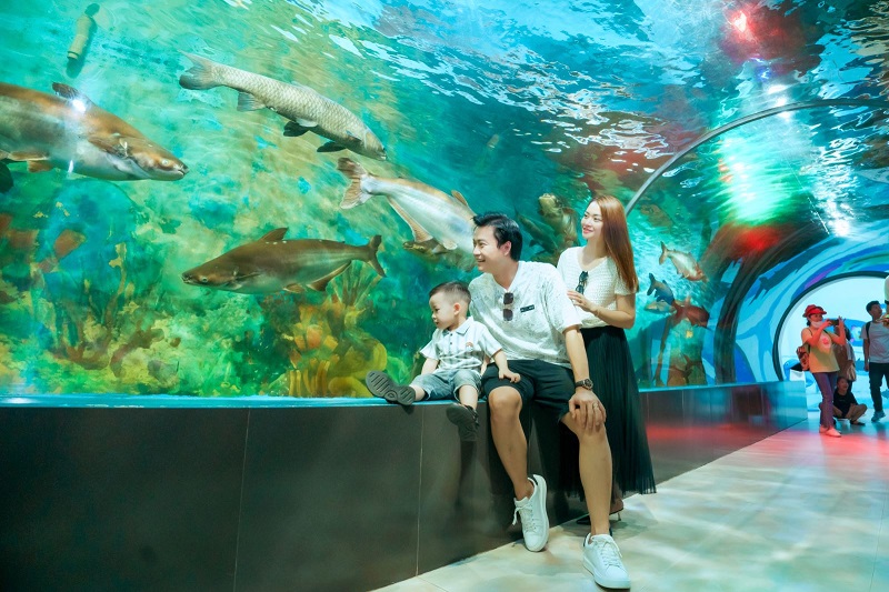 Du lịch Hà Nội Mùa hè có gì đẹp 13 duichhanoimuahecogidep4