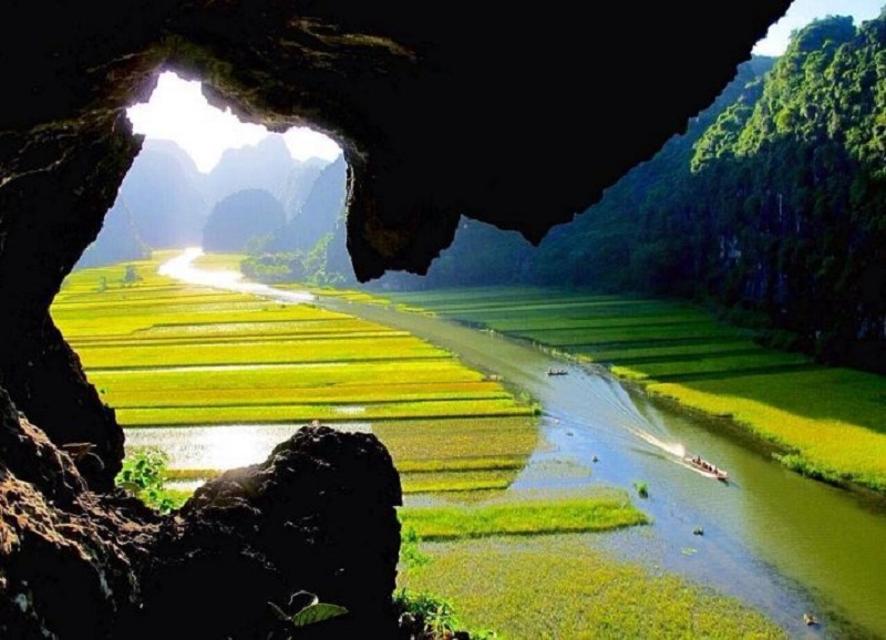 Tam Coc tourism in the ripe rice season 11 tamcoctourismintheripericeseason4