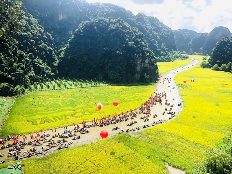Tam Coc tourism in the ripe rice season 10 tamcoctourismintheripericeseason5