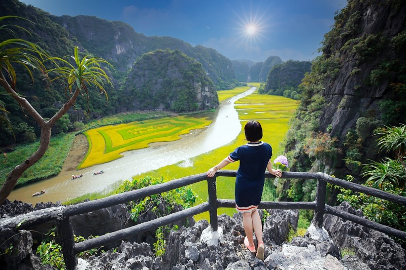 Tam Coc tourism in the ripe rice season 12 tamcoctourismintheripericeseason6
