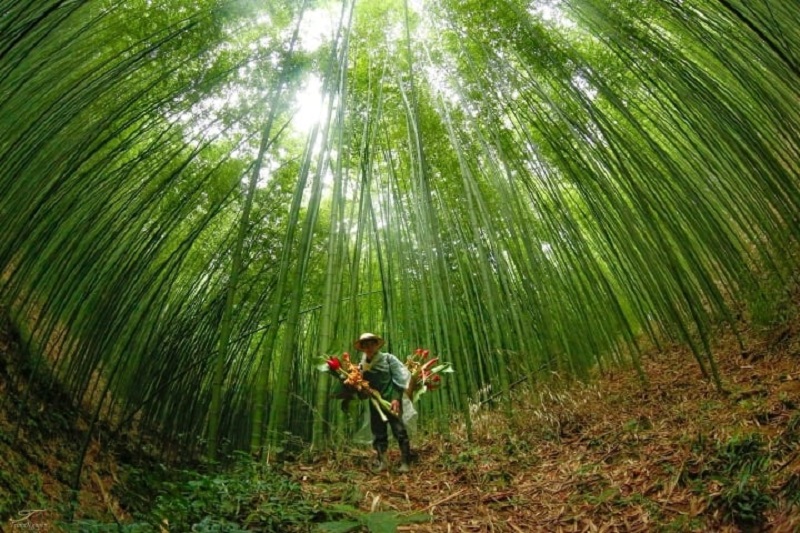 Cao Bang Travel Experience 37