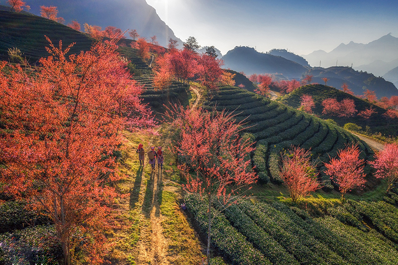 The latest complete Sapa travel guide 19 thelatestcompletesapatravelguide2