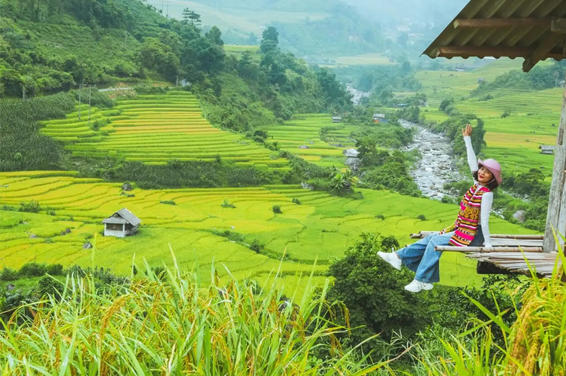 Travel to Sapa in the ripe rice season 8 traveltosapaintheripericeseason