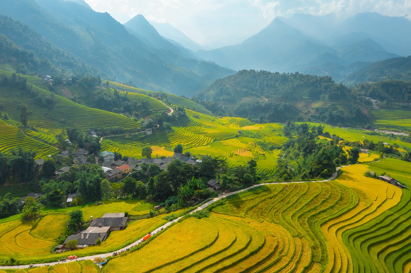 Travel to Sapa in the ripe rice season 11 traveltosapaintheripericeseason3