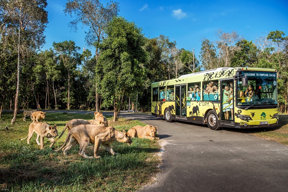 Vinpearl Safari Phú Quốc 8 vinpearllandphuquoc