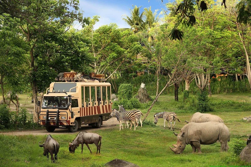 Vinpearl Safari Phú Quốc 10 vinpearllandphuquoc3
