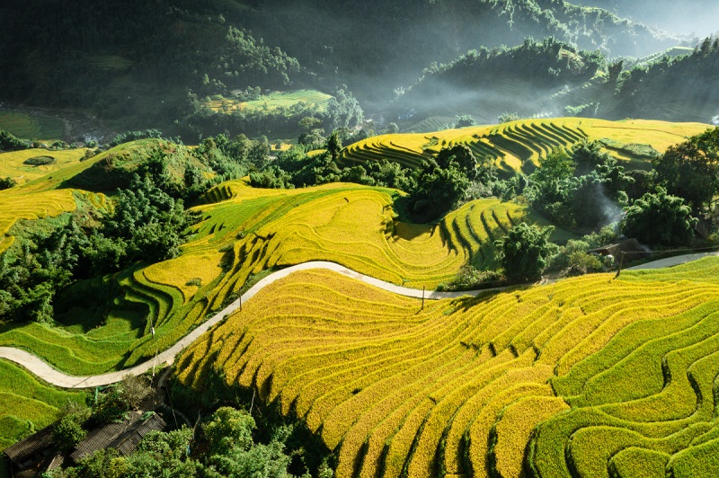 Bản Lao Chải - Tả Van Sapa 11 banlaochaitavansapa1