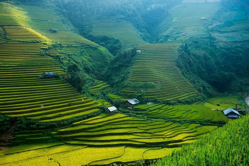 Bản Lao Chải - Tả Van Sapa 12 banlaochaitavansapa2