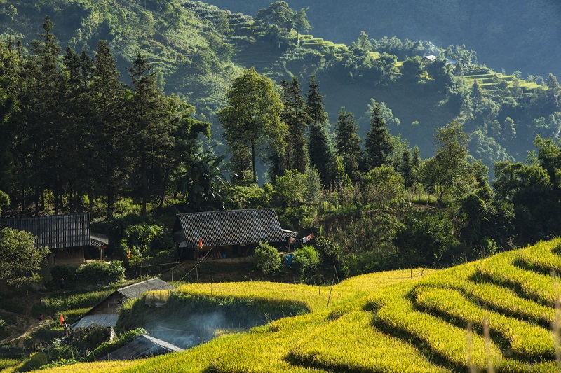 Bản Lao Chải - Tả Van Sapa 13 banlaochaitavansapa3