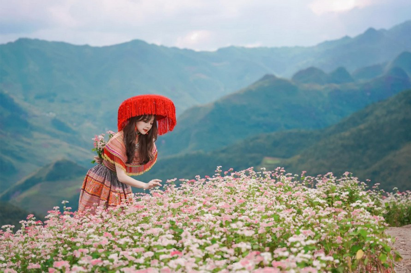Du lịch Hà Giang mùa hoa tam giác mạch 11 dulichhagiangmuahoatamgiacmach