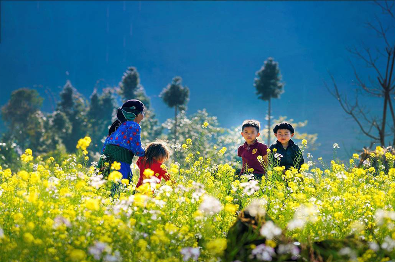 Du lịch Mùa hoa cải Hà Giang 10 dulichmuahoacaihagiang5