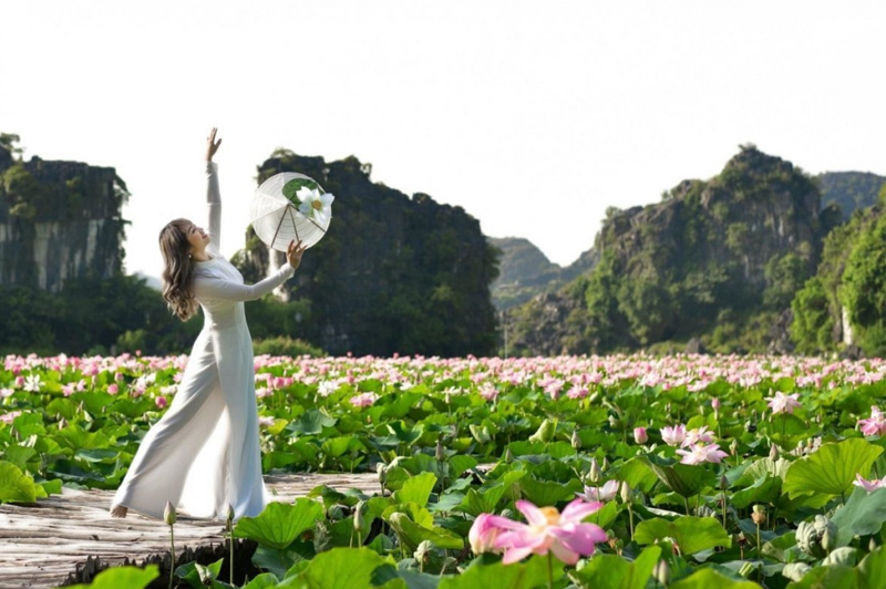 Mùa sen Hang Múa Ninh Binh 31 muasenhangmuaninhbinh