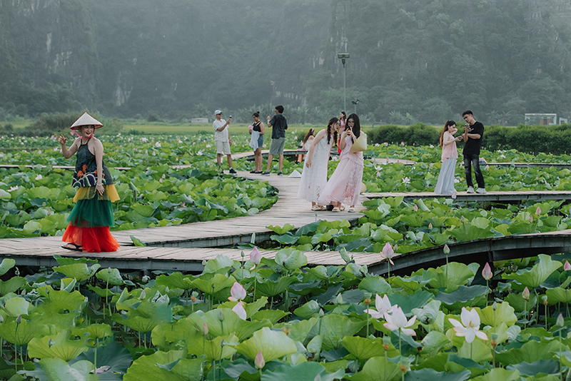Mùa sen Hang Múa Ninh Binh 11 muasenhangmuaninhbinh1