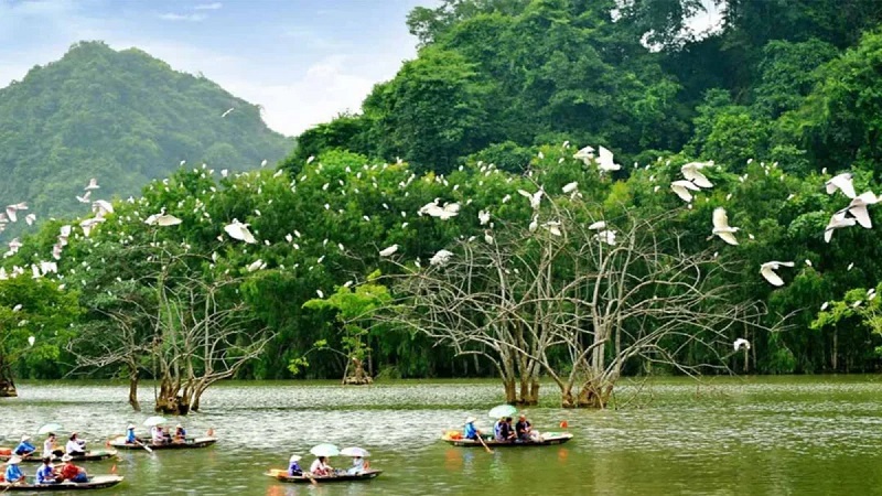 Mùa sen Hang Múa Ninh Binh 15 muasenhangmuaninhbinh22
