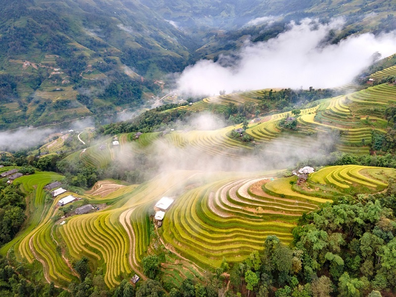 Ruộng bậc thang Hoàng Su Phì mùa nào đẹp nhất 10 ruongbacthanghoangsuhimuanaodepnhat2