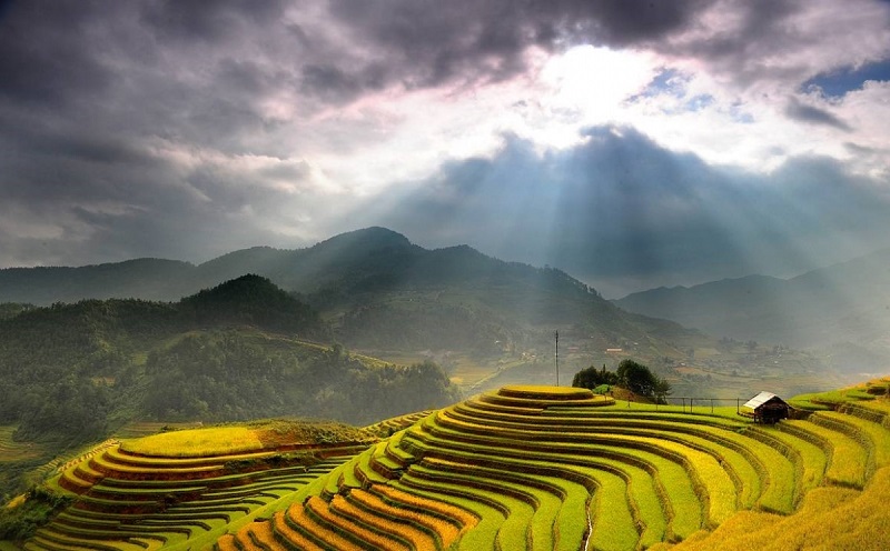 Ruộng bậc thang Hoàng Su Phì mùa nào đẹp nhất 13 ruongbacthanghoangsuhimuanaodepnhat7