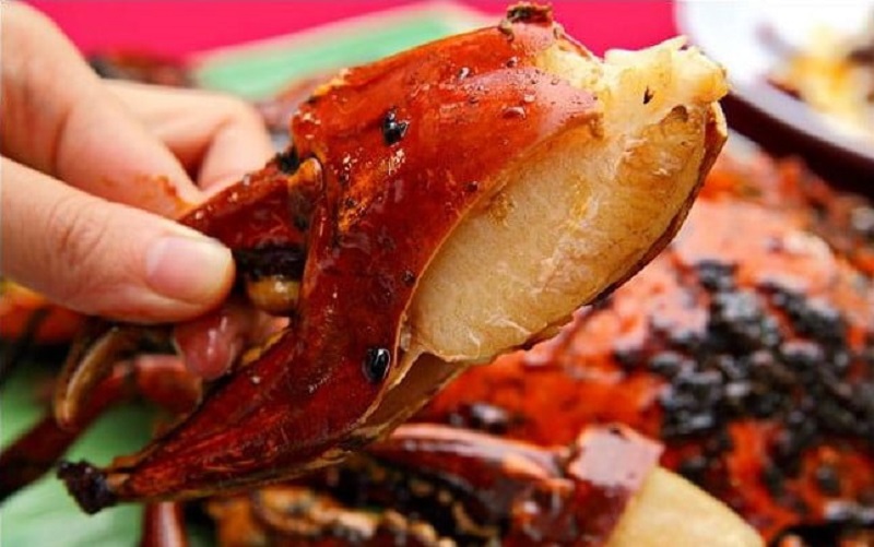 Scuba diving to see corals in Cu Lao Cham 20 scubadivingtoseecoralsinculaocham20