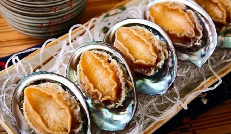 Scuba diving to see corals in Cu Lao Cham 21 scubadivingtoseecoralsinculaocham21