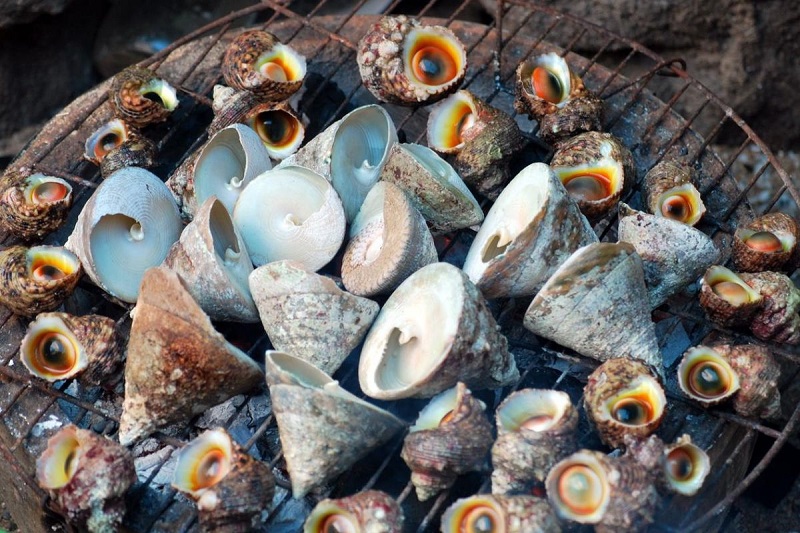 Scuba diving to see corals in Cu Lao Cham 22 scubadivingtoseecoralsinculaocham22