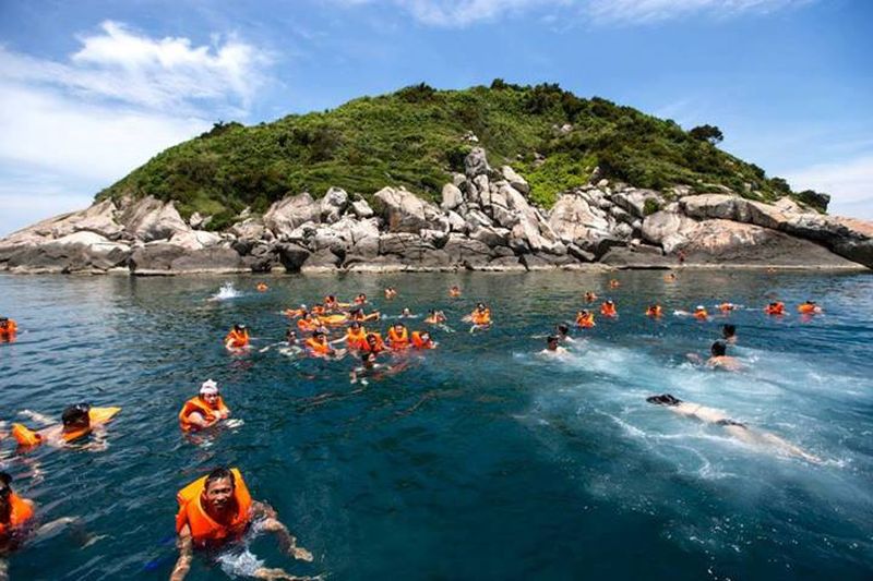 Scuba diving to see corals in Cu Lao Cham 18 scubadivingtoseecoralsinculaocham3