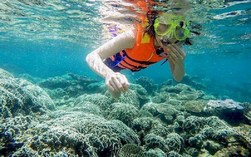 Son Tra Peninsula Da Nang 26 sontrapeninsuladanang5
