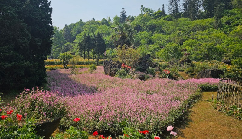 Tham quan Núi Hàm Rồng Sapa 13 thamquannuihamrongsapa1