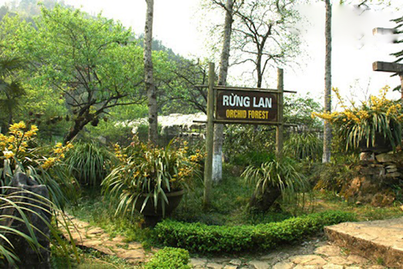 Tham quan Núi Hàm Rồng Sapa 17 thamquannuihamrongsapa20