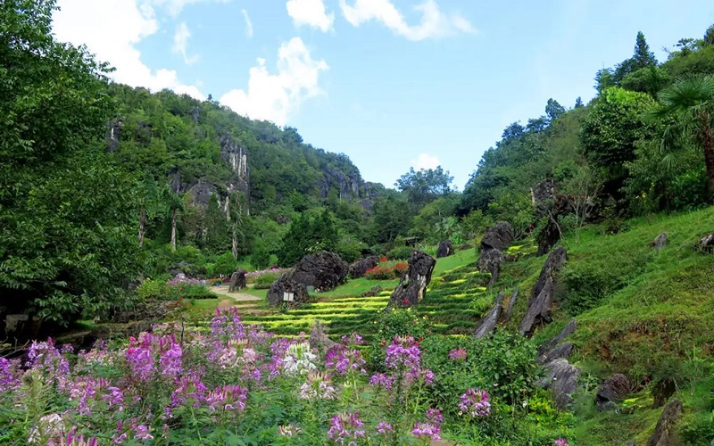 Tham quan Núi Hàm Rồng Sapa 15 thamquannuihamrongsapa5