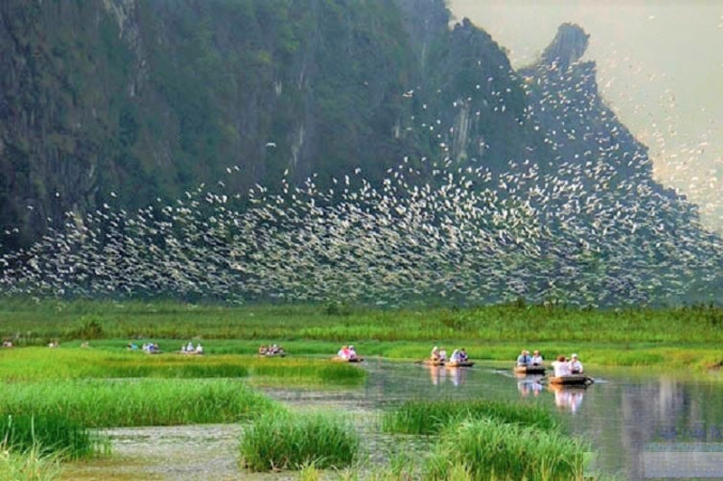 Thung Nham Bird Garden Ecotourism Area 21 thungnhambirdgardenecotourismarea