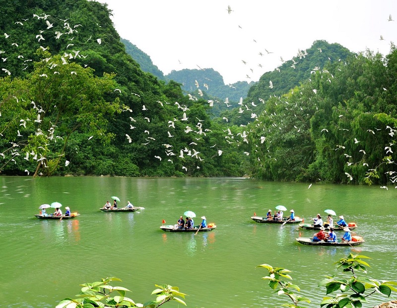 Thung Nham Bird Garden Ecotourism Area 12 thungnhambirdgardenecotourismarea1