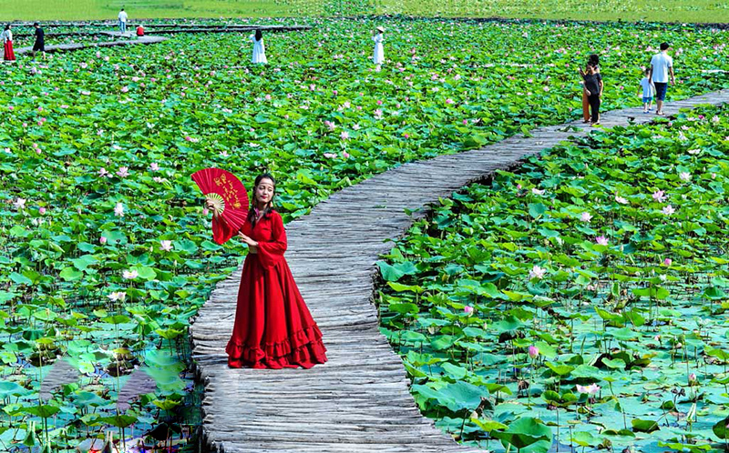 Thung Nham Bird Garden Ecotourism Area 15 thungnhambirdgardenecotourismarea5