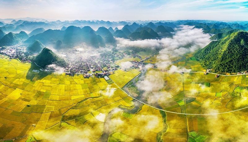 Top 4 điểm ngắm mùa lúa chín tuyệt đẹp 15 top4diemngammualuachintuyetdep5