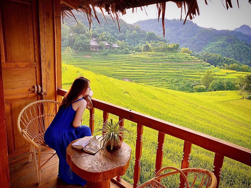 Top 4 điểm ngắm mùa lúa chín tuyệt đẹp 16 top4diemngammualuachintuyetdep6
