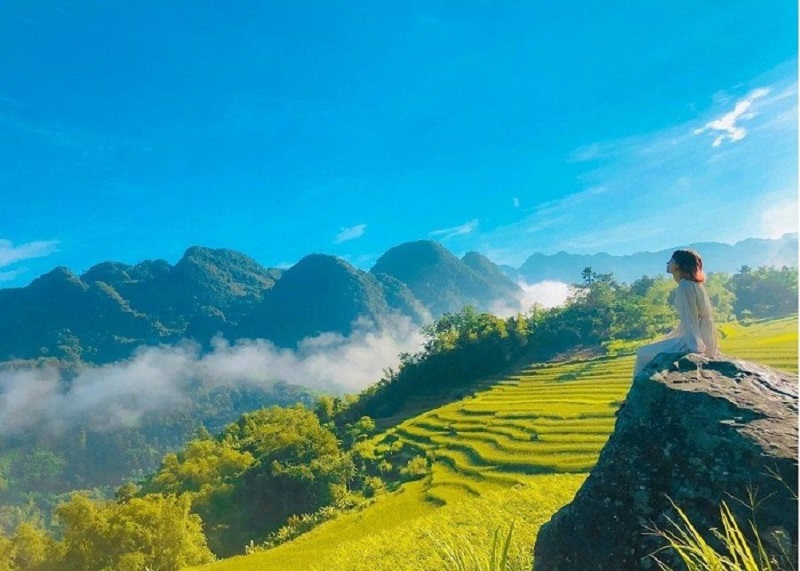 Top 4 điểm ngắm mùa lúa chín tuyệt đẹp 18 top4diemngammualuachintuyetdep7