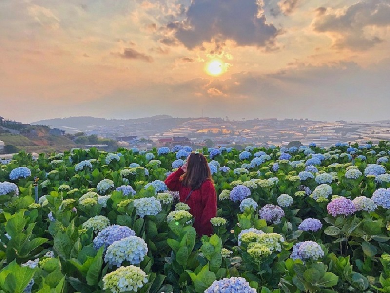 Top 5 điểm du lịch tuyệt đẹp trong ngày hè 17 top5diemdulichtuyetdeptrongngayhe8