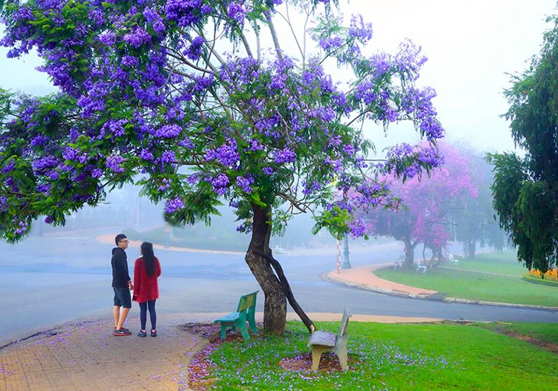 Top 5 điểm du lịch tuyệt đẹp trong ngày hè 18 top5diemdulichtuyetdeptrongngayhe9