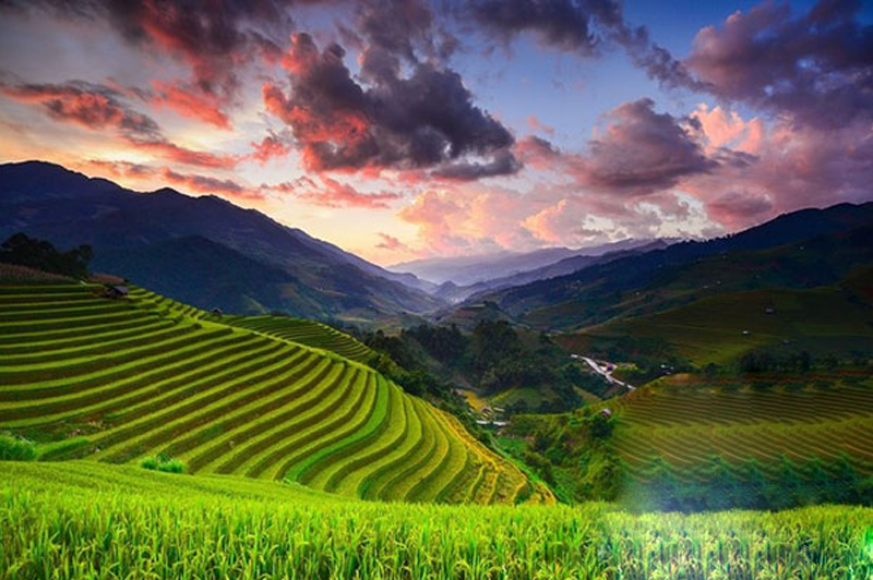 What is beautiful about traveling to Sapa in August 11 whatisbeautifulabouttravelingtosapainaugust