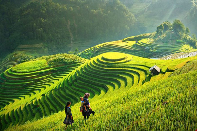 What is beautiful about traveling to Sapa in July 13 whatisbeautifulabouttravelingtosapainjuly